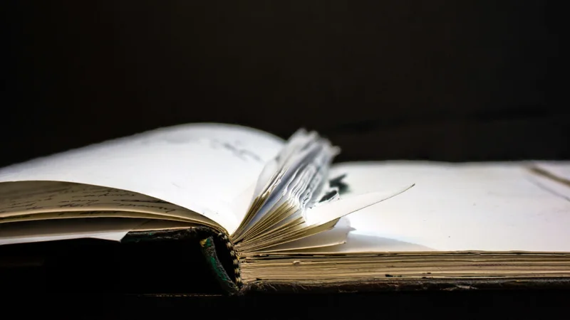 Accrediting body considers changes to racism curriculum standards for public health schools