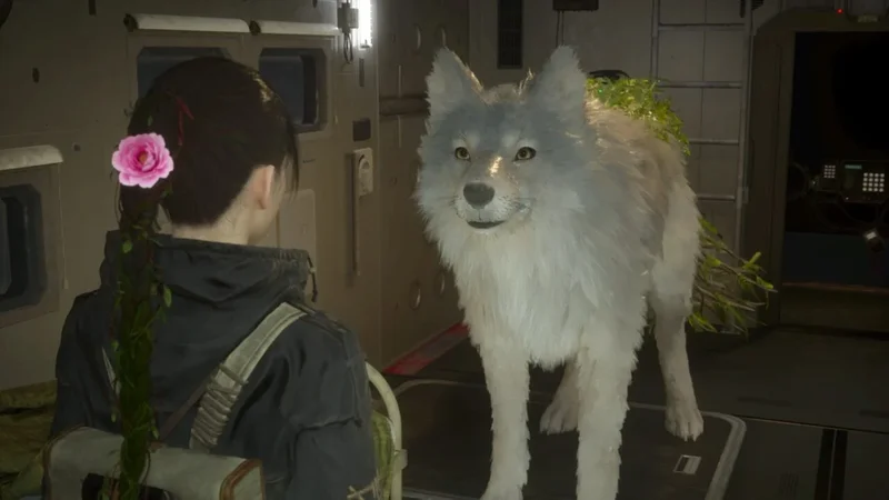 I (18F) Have A Giant Wolf (???M) Following Me Around And Scaring Me For Fun