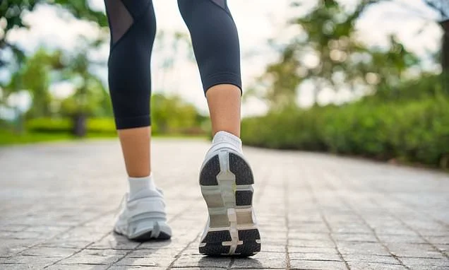 Once-a-week walking workout shrinks belly fat just as much as exercising three times a week, study finds