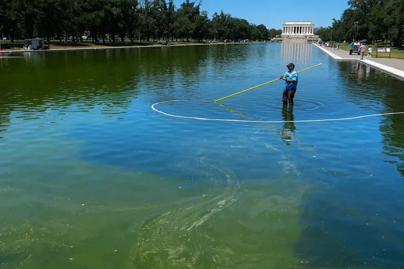 White House Seeking New Charges Against David Hearn After Dropped Reflecting Pool Vandalism Case, Report Says