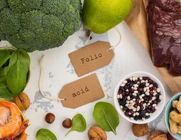 Folic acid relies on vitamin A pathway to prevent birth defects