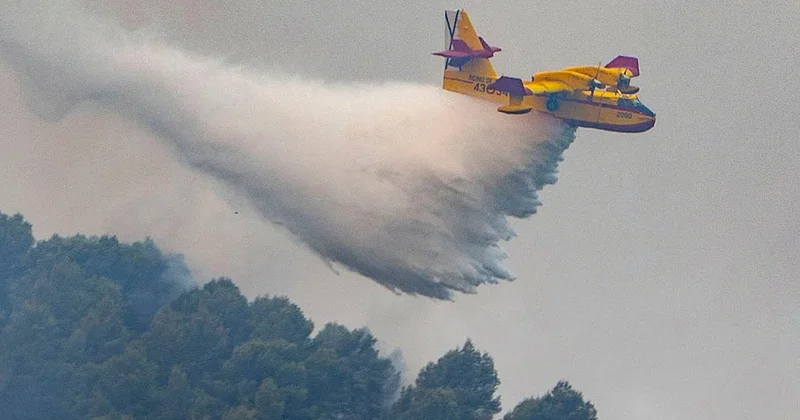 These are the "super scooper" firefighting seaplanes dousing European and U.S. wildfires