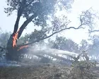 California’s Big Sur sees evacuation orders as Timber fire grows