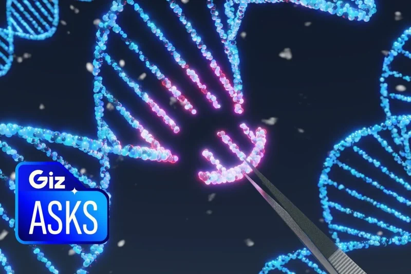 After 2 Deaths and Reports of Brain Tumors, How Dangerous Is Gene Therapy, Really?