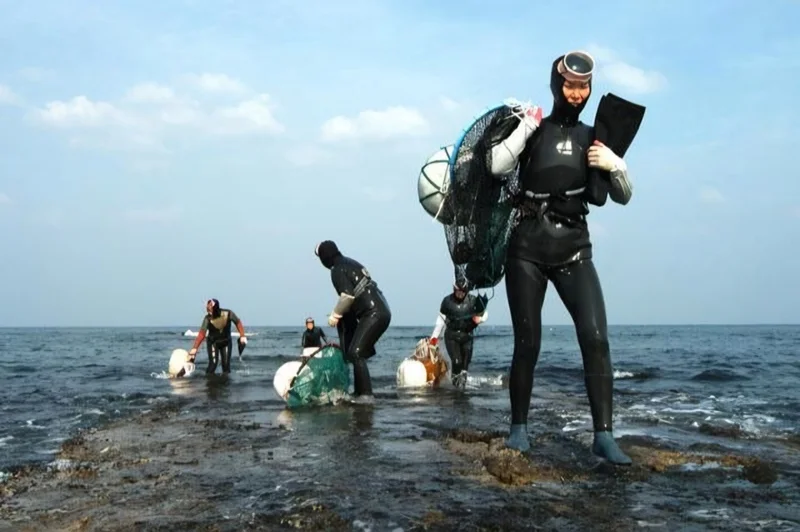 Busan turns to tourism to save its female free-divers