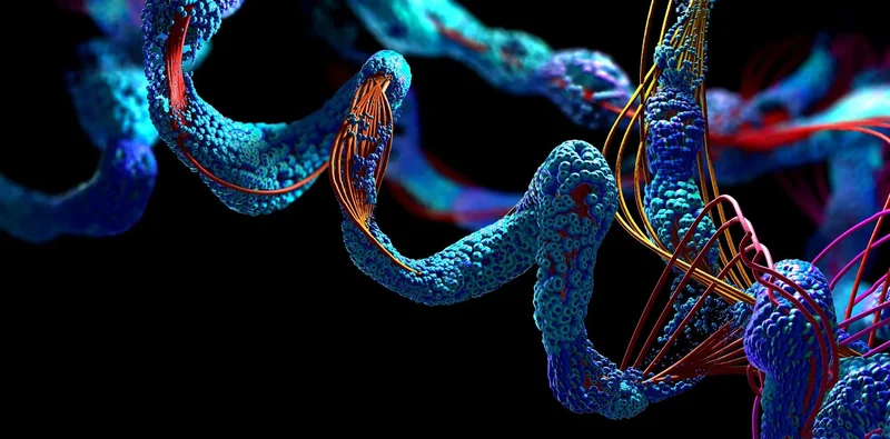 Restricting select amino acids may mimic protein restriction’s healthy aging benefits