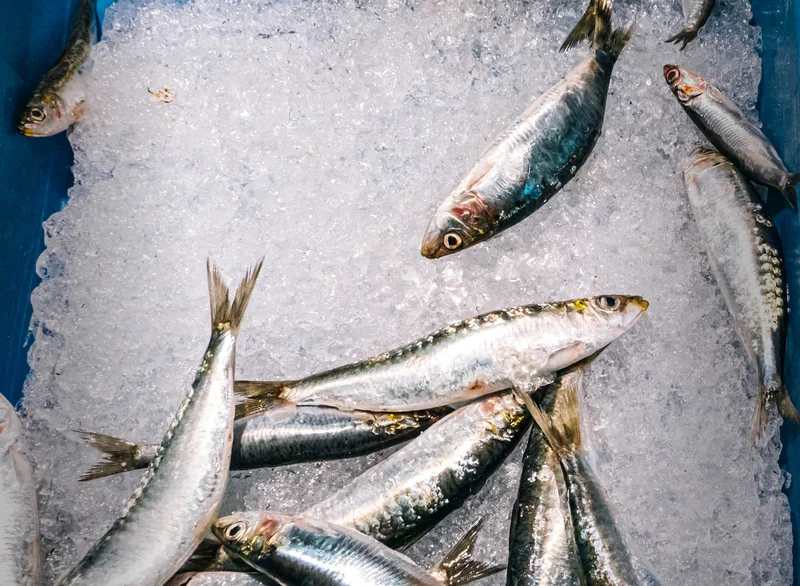 Why Can't You Find Canned Sardines?