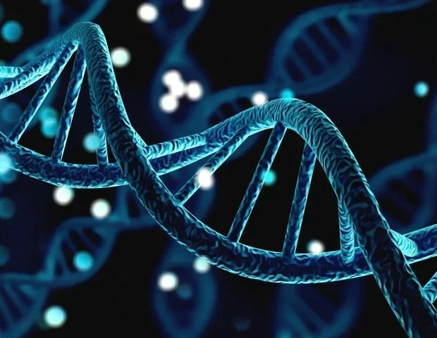 First 24 hours shape the body's antiviral defense response