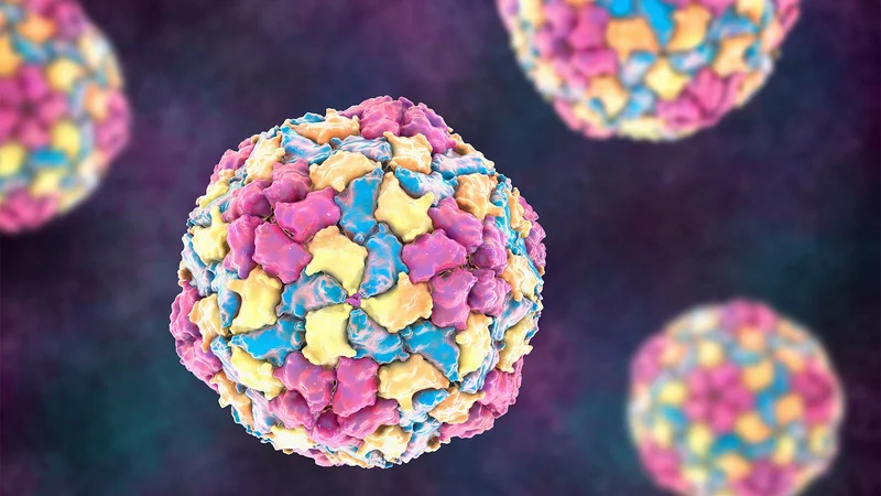 Despite Vaccines, Most U.S. Adults Not Immune to Hepatitis A or B
