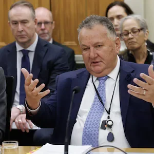 Shane Jones calls for fast track changes after Delmore housing approval