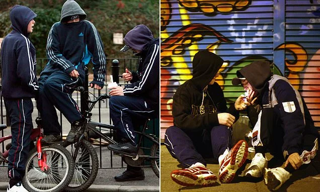 PETER HITCHENS: When you visit your local town centre, smell marijuana all around you, and witness endless antisocial behaviour, do you believe the claims that crime is falling? Me neither. And I'm about to tell you the sad truth about these 'figures'