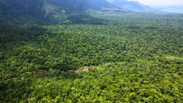 Mining-free Sibuyan gains ground as local opposition mounts