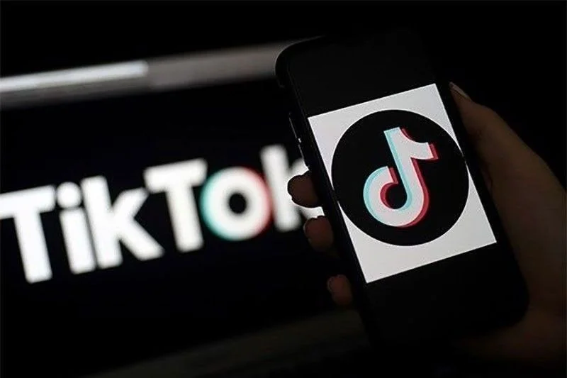 TikTok rolls out family guide for safer online habits