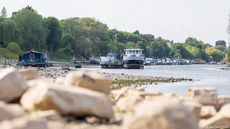 Germany news: Some shipping stops as Rhine hits new lows