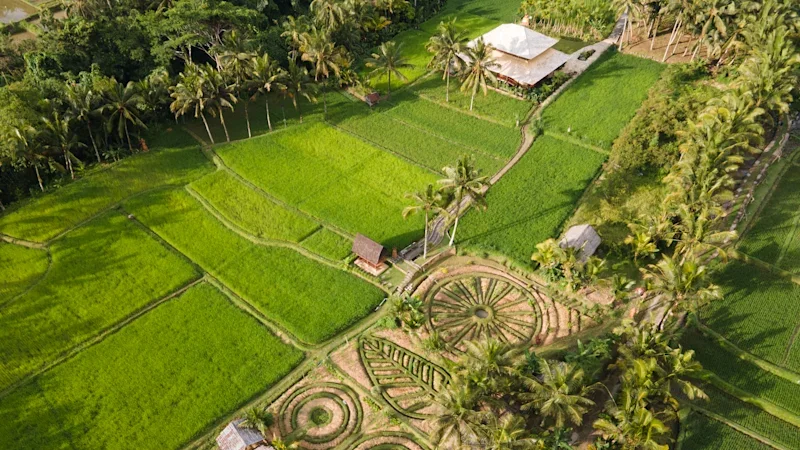 Bali needs more places like this outstanding dining spot