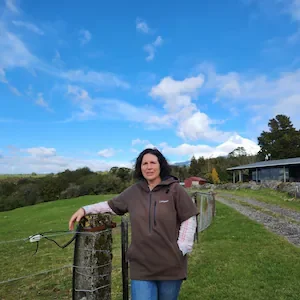 Mount Taranaki photo spot sparks safety fears as tourists stop on Kent Road