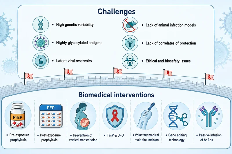Long-acting HIV prevention tools could help close the gap before a vaccine arrives