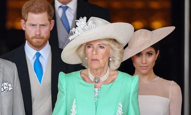 As Camilla's biographer, I fear this could be the test of her lifetime: ANGELA LEVIN