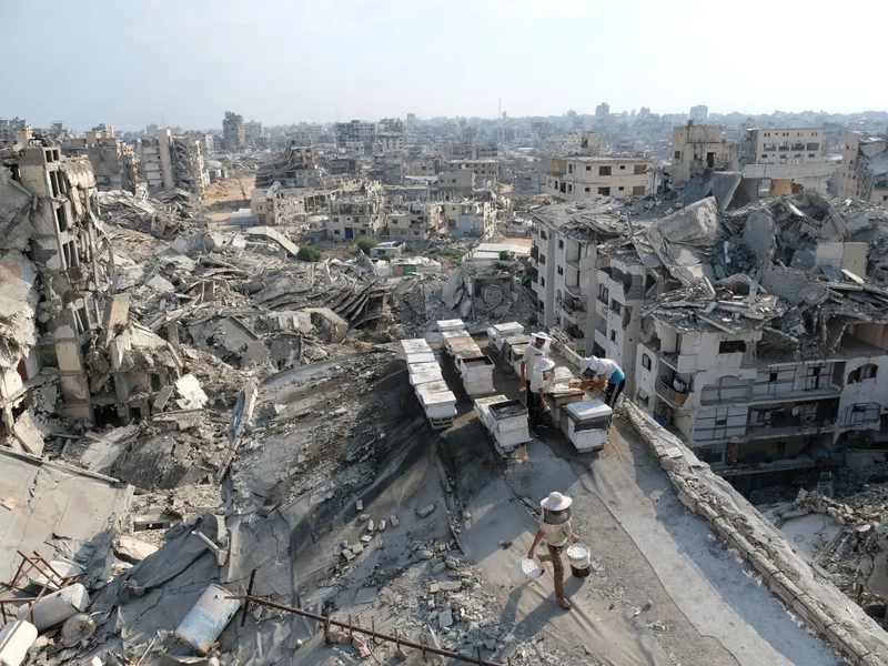 Palestine weekly: Netanyahu hedges on Gaza roadmap