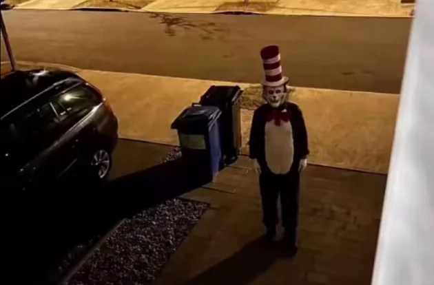What's not enjoyable about the minor panic over a Cat in the Hat prowling the sunny south-east?