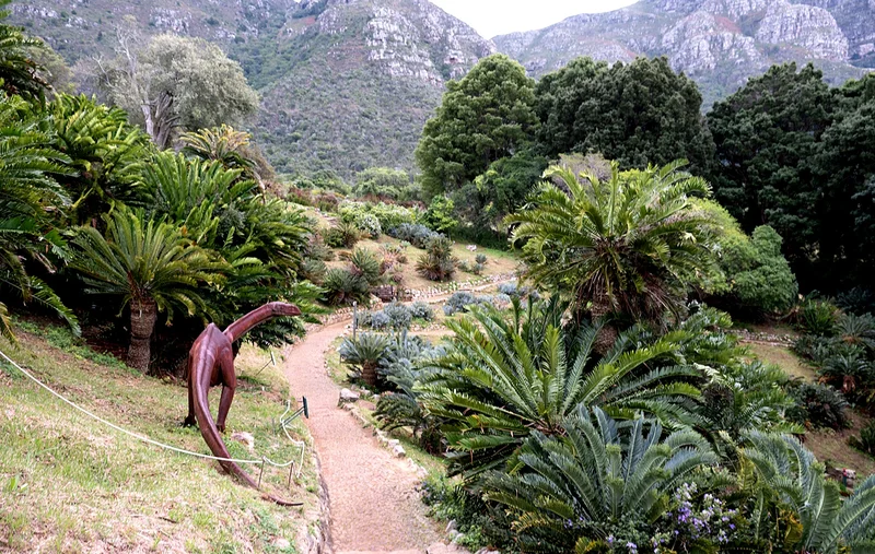 A CRYING SHAME: Parliament shines the spotlight on Kirstenbosch’s hidden decline