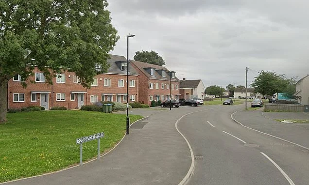 Girl, 16, is rushed to hospital with 'serious' stab wounds: Woman, 45, is arrested