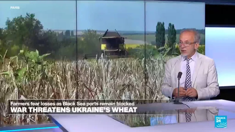 Ukraine war: Grain attacks raise food price fears