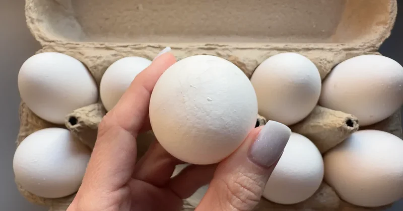 FDA upgrades egg recall linked to salmonella to highest risk level