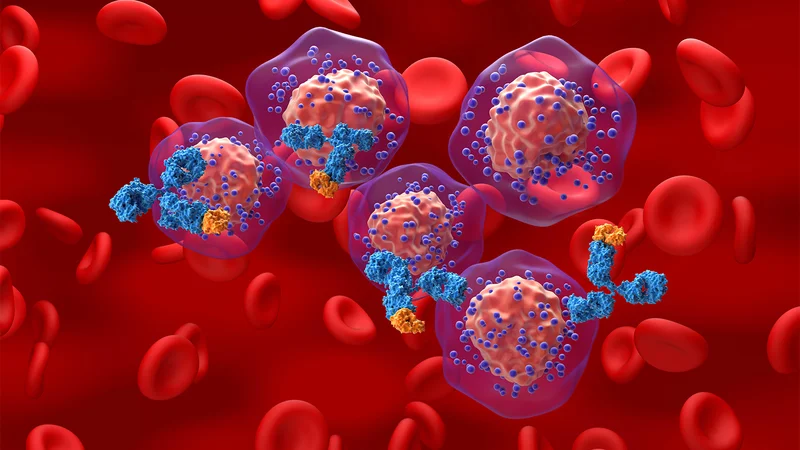 Despite Progress in TNBC, More Biomarkers Are Needed to Improve Outcomes