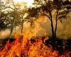 At least one person dead in California wildfire allegedly sparked by chainsaw