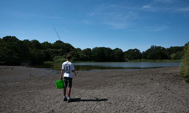 Britain's drought could spark an outbreak of infectious diseases, scientists warn