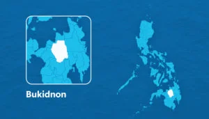 Unlicensed rider without helmet dies in Bukidnon highway crash
