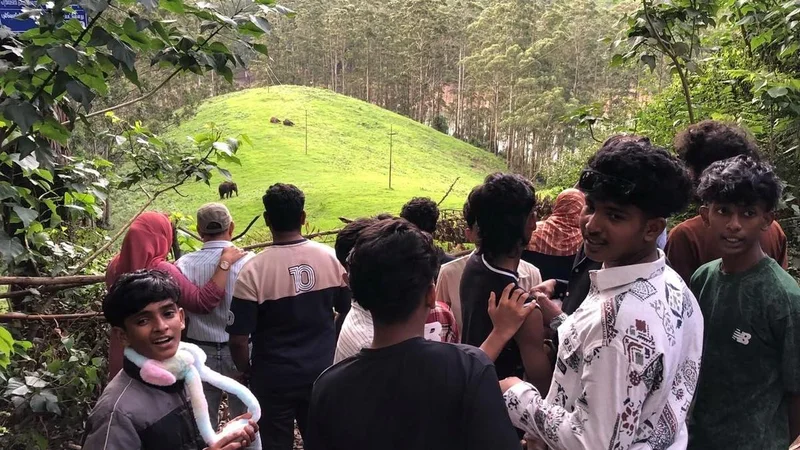 Keralam Forest department to provide training for tourists to capture photos inside forests