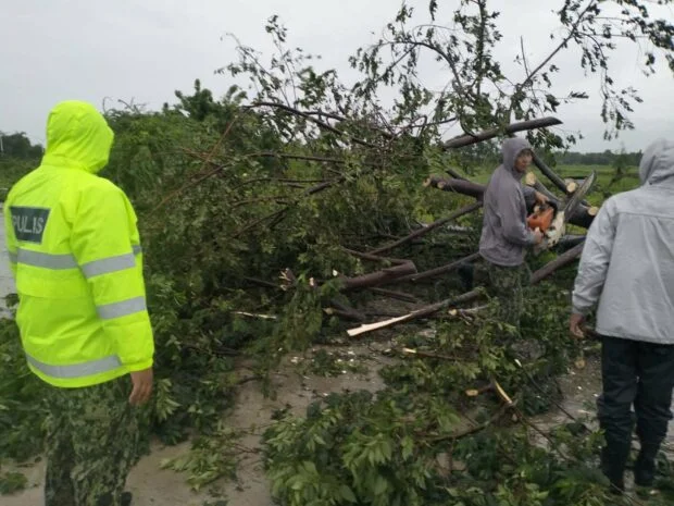 Maymay winds topple trees in Vigan City