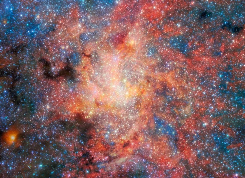 Even Near a Supermassive Black Hole, Stars Enrich the Interstellar Medium