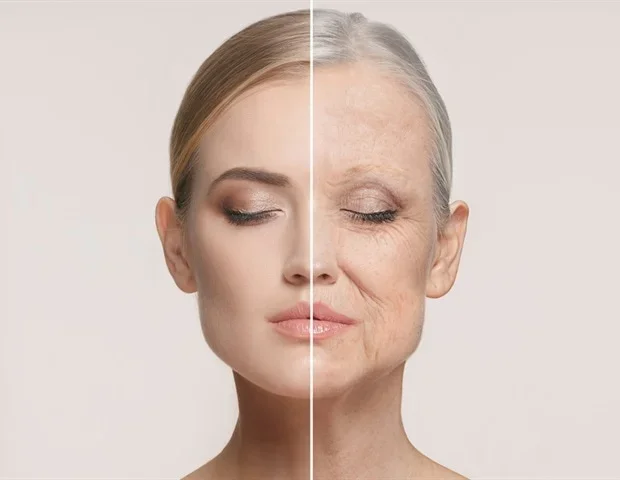 Review explores mechanisms driving cardiovascular aging and disease risk