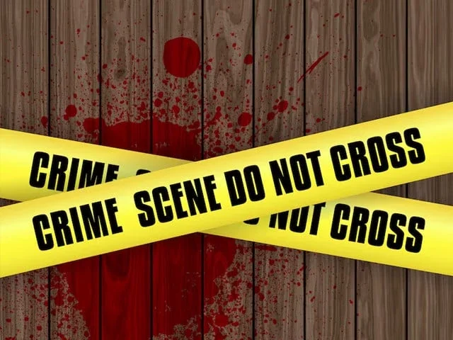 Three-member team formed to probe Wafflix's owner murder