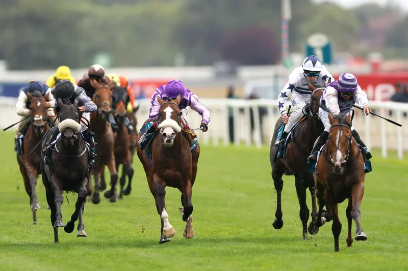 Saturday racing tips: York best bets and odds on Ebor Handicap day